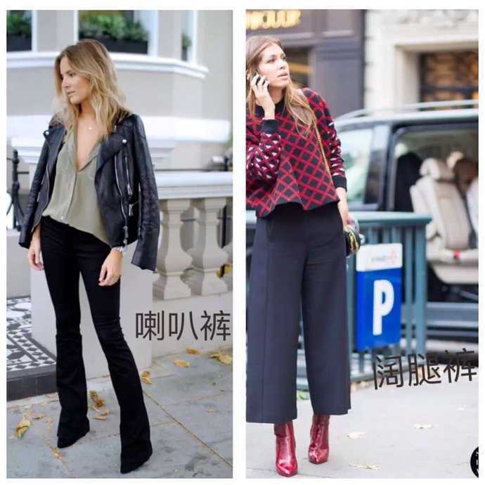 魔力宝贝私服宠物养成计划：打造最强伙伴