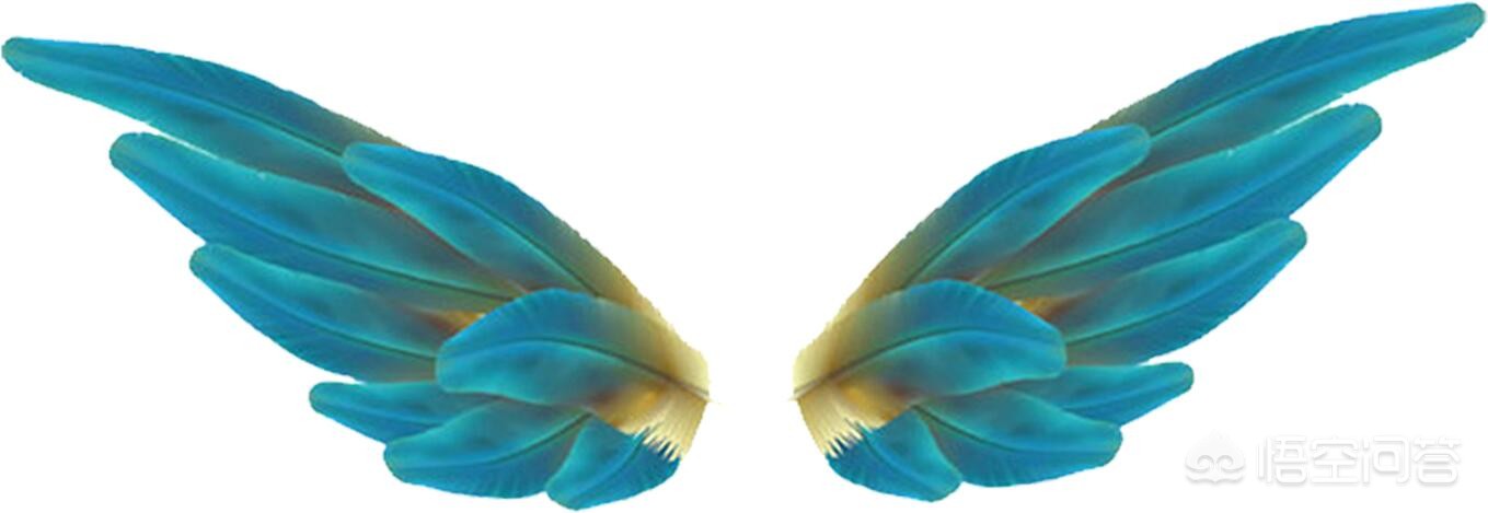 魔力百科金币速刷技巧 快速获取金币的有效方法