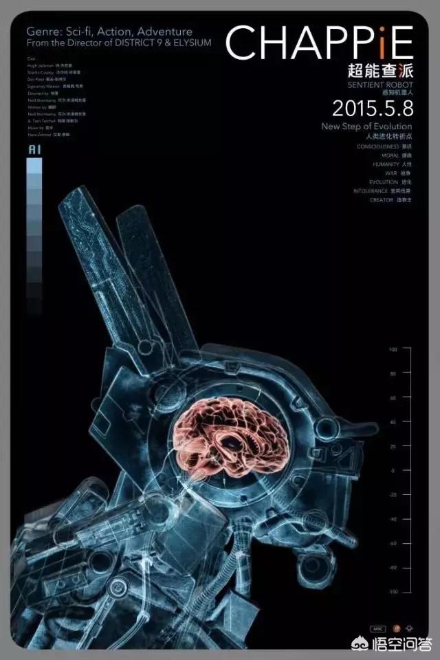魔力百科金币速刷技巧 快速获取金币的有效方法